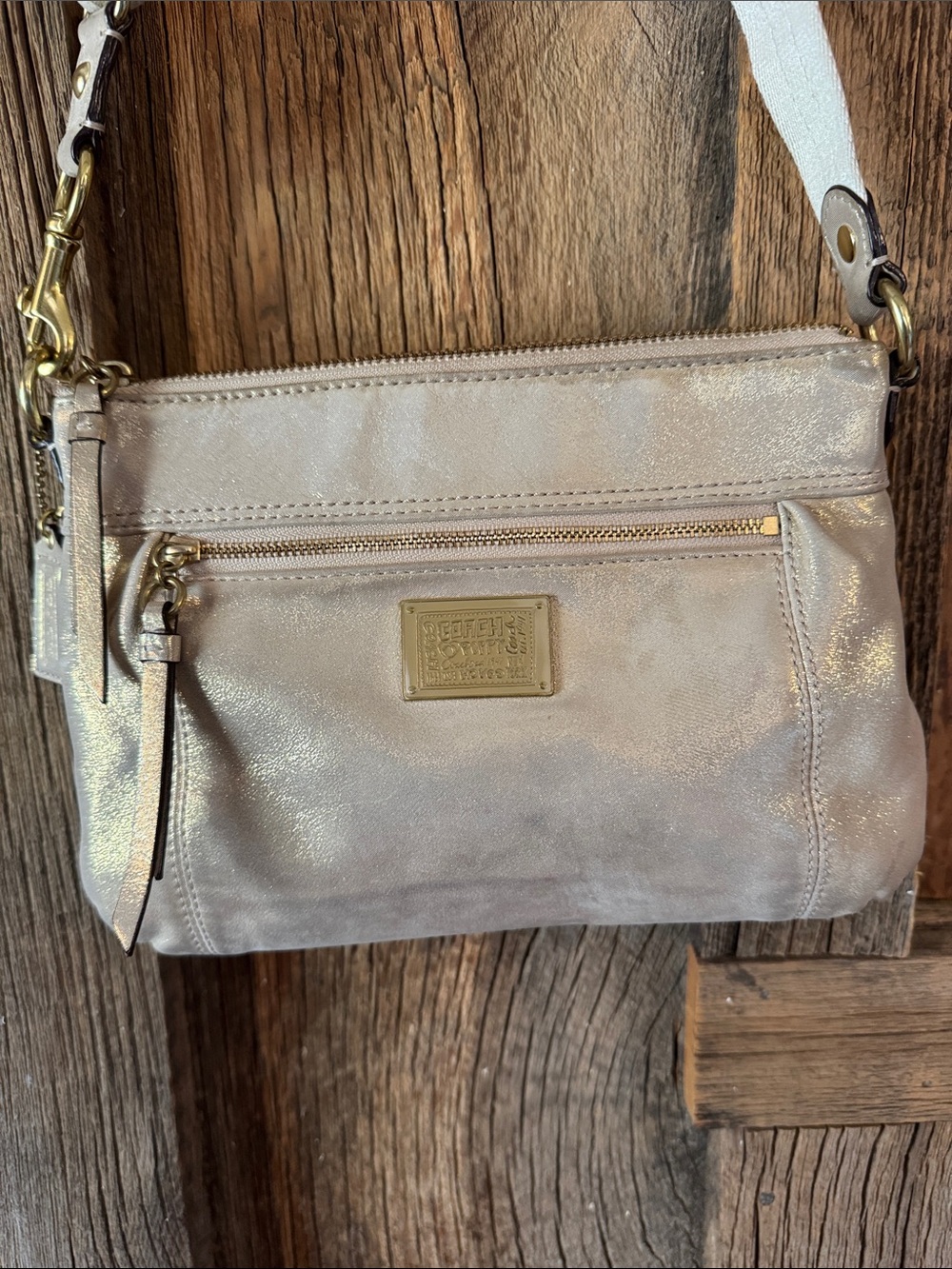 Coach Poppy Metallic Leather Crossbody